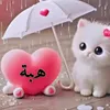 user6881761737183