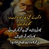 ahsanzulfiqar3050