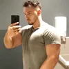 anthony_sly2balboa