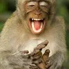 hoang.my.clok.time