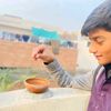bobhishah