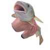 snup_dag
