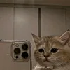 nadearndendn