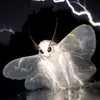 zigazeet1