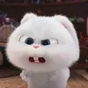 windzi_