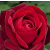 user33112567