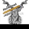 naseeb.gularshadk