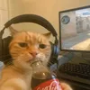 rufffiked