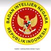 shatsimanjuntak6