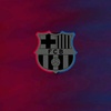 fanssbarca1113