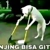 yudha7421