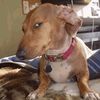 sideeyedoge