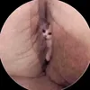 namhoang24672