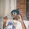 oldturtl_e