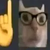pzxcell_.o