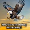 gendut7689