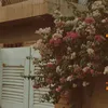 zainab66999