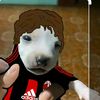 ricardo.....kaka