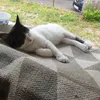 cateregardepasnonmais