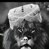 user8383175711813