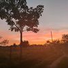 alina.flores12