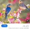 rtktmkrm