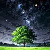 mazhar.khan9238