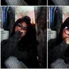 aauliaaa____