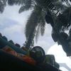 feri.urganda05