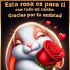 maria.ludy.corder