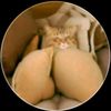 rullswily
