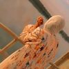 ranoosh6524