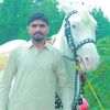 Shan Haider