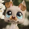 xcrystaldragonslpsog