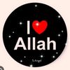 .mamun8173