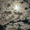 salman_50777