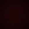 josue_xx230