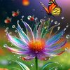 amira85sayed