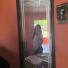 sara_ortiz45