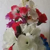 roussame1