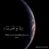 rwaan301