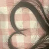 denise042324