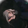 zh._sl