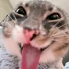 wykastrowana69