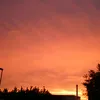 liwka_xx15