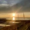 estelle_53