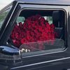 shahed.elhadi8