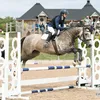 mpw.equestrian