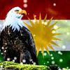 afrin53693