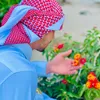 abn.alreef18